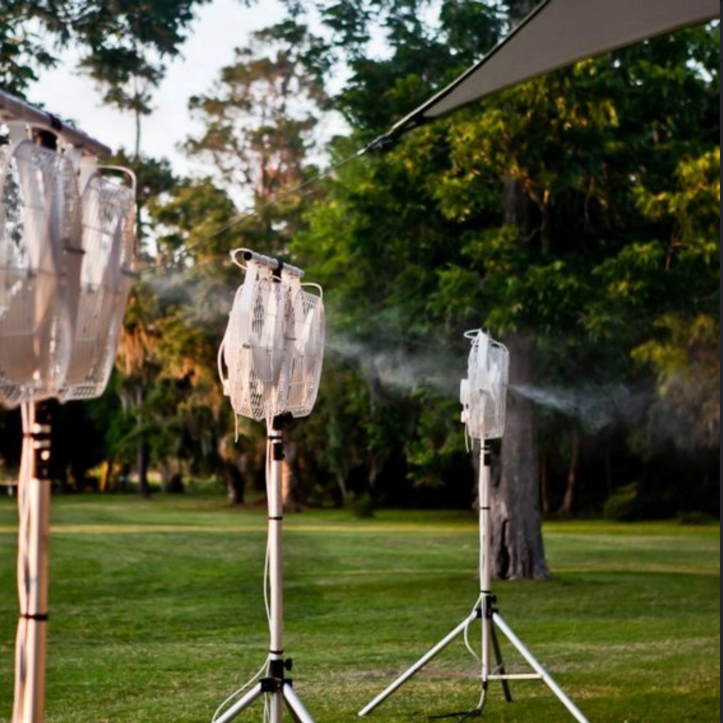 Three All-Mist misting fans on an event lawn at sunset