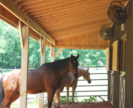 All-Mist fans cooling horses in a barn