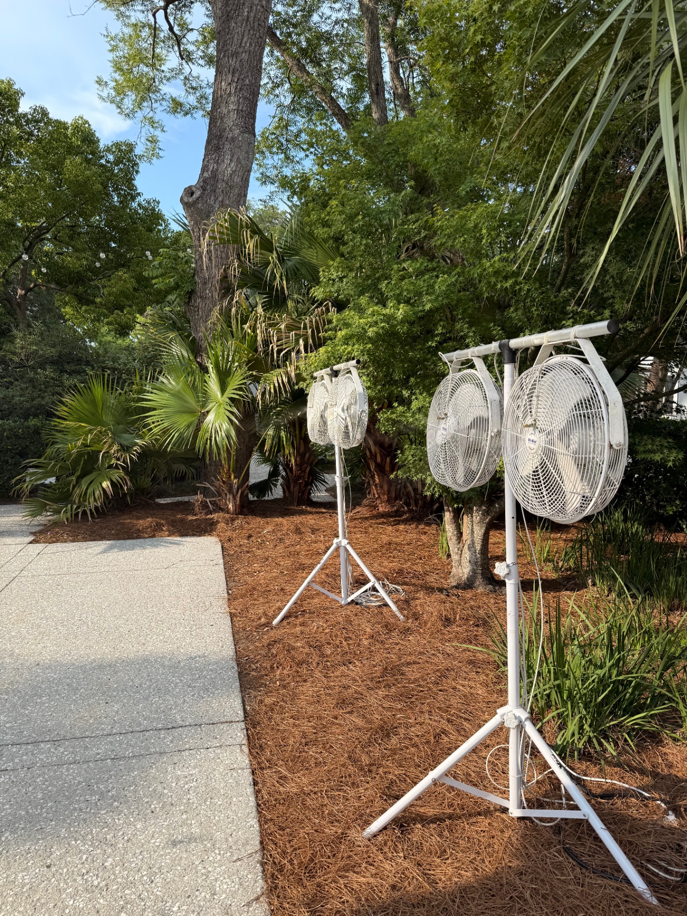 All-Mist misting fans set up outdoors